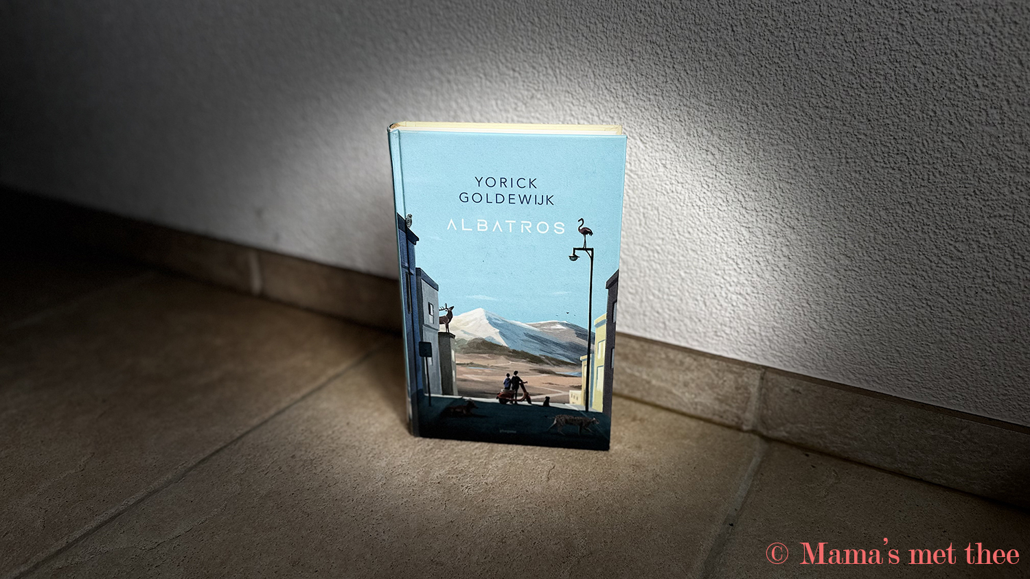 Albatros – Yorick Goldewijk | Onverwacht, magisch en indrukwekkend
