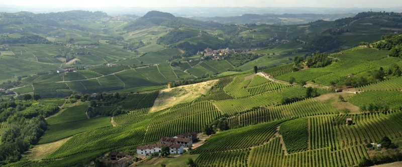 langhe
