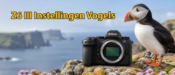 Beste Nikon Z6 III Instellingen voor Vogels