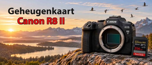 Welke geheugenkaart voor Canon EOS R8 II