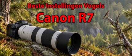 Canon EOS R7 Instellingen voor Vogels: Beste Tips