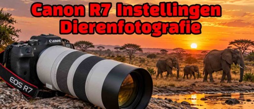 Canon EOS R7 Instellingen voor Dierenfotografie, Wildlife en Safari