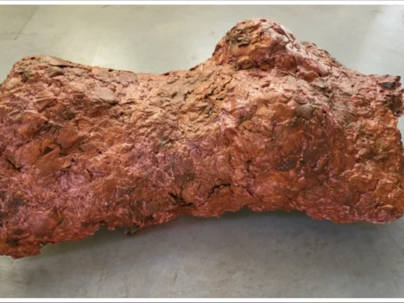 Papier-maché Body