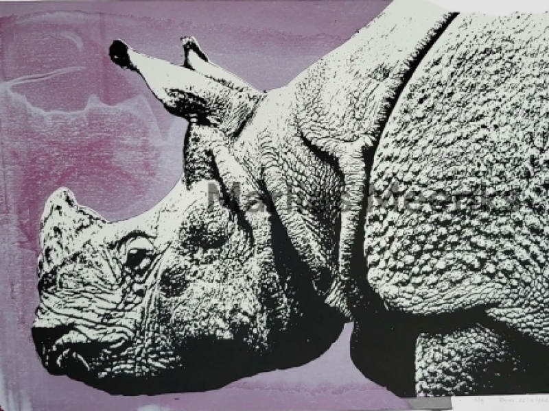 Zeefdruk Rhino
