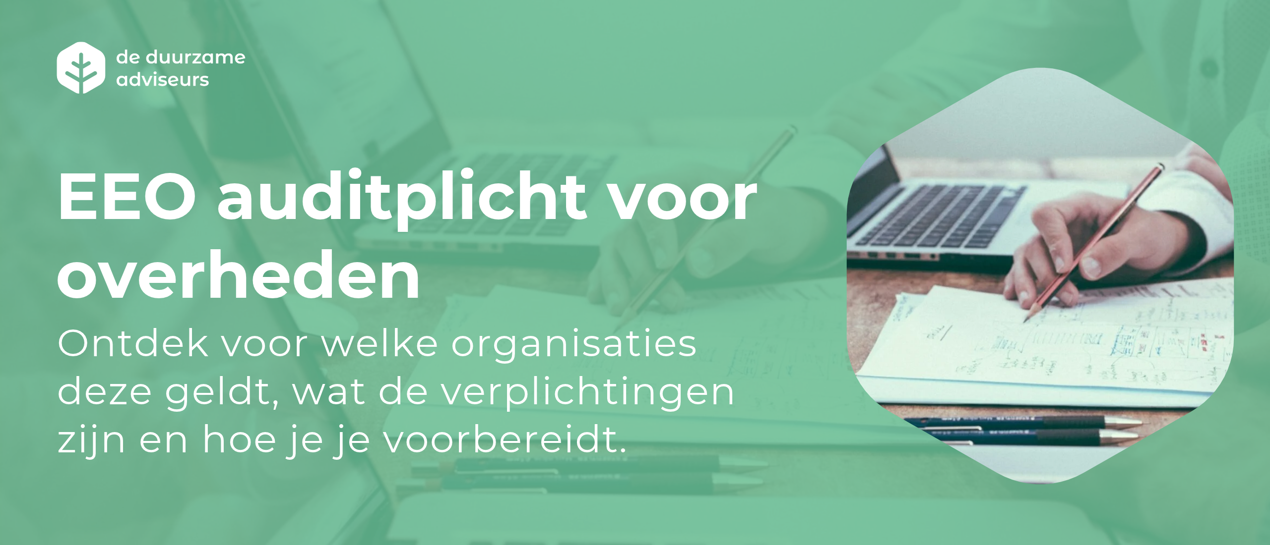 EEO auditplicht
