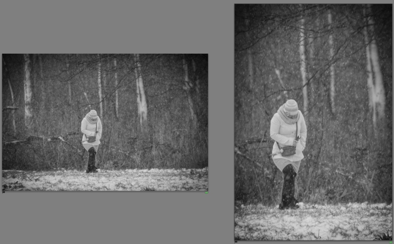 Twee zwart-witfoto’s van een persoon in een besneeuwd bos, links in horizontaal formaat en rechts in verticaal formaat