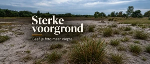 Het belang van een sterke voorgrond