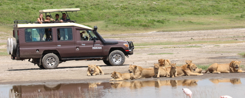 Makasa Safaris Afrika Tanzania Makasa Safaris Afrika Tanzania