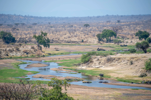 Beste reistijd voor een rondreis door Tanzania?