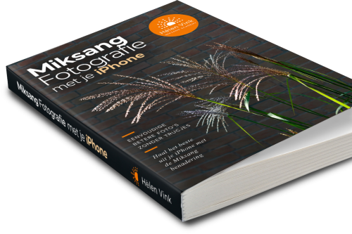 miksang fotografie, iphone, mindful fotografie, mindfulness fotografie, meditatiecursus, miksang workshop, miksang training, hoogsensitief, hsp
