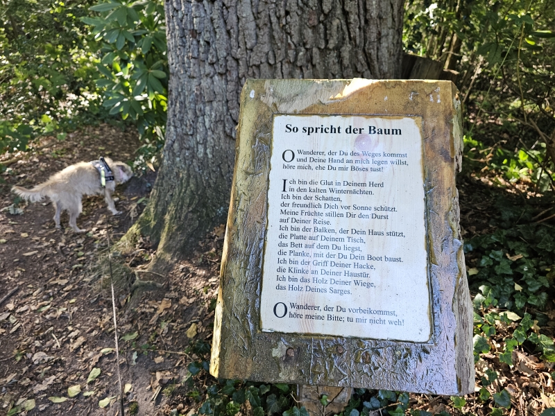 Ammerland hond welkom Ammerland hond welkom