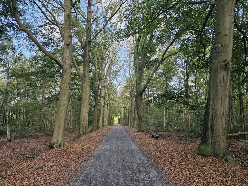 De Liniedreef in Stekene