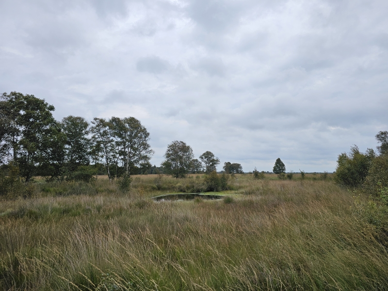 Ewiges Meer en omgeving