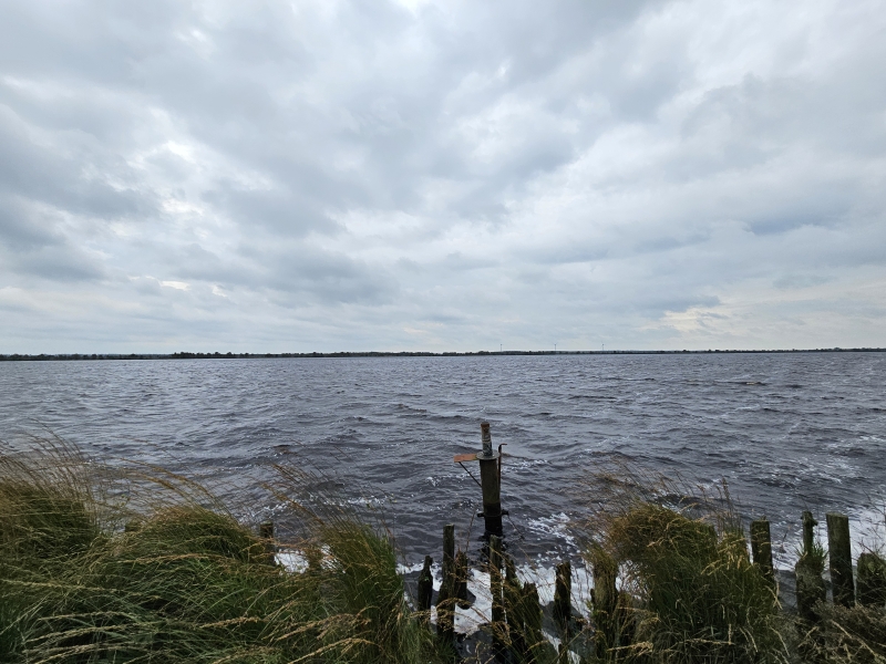 Ewiges Meer wandelen met hond