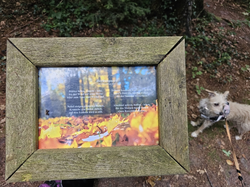Gedichten in het Wallinghauser Wald in Aurich