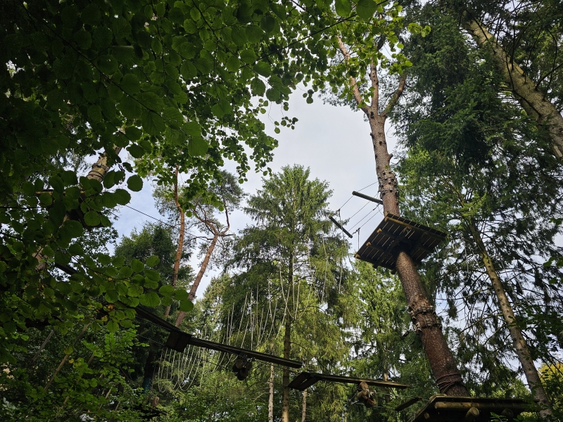 Klimbos Wallinghauser Wald