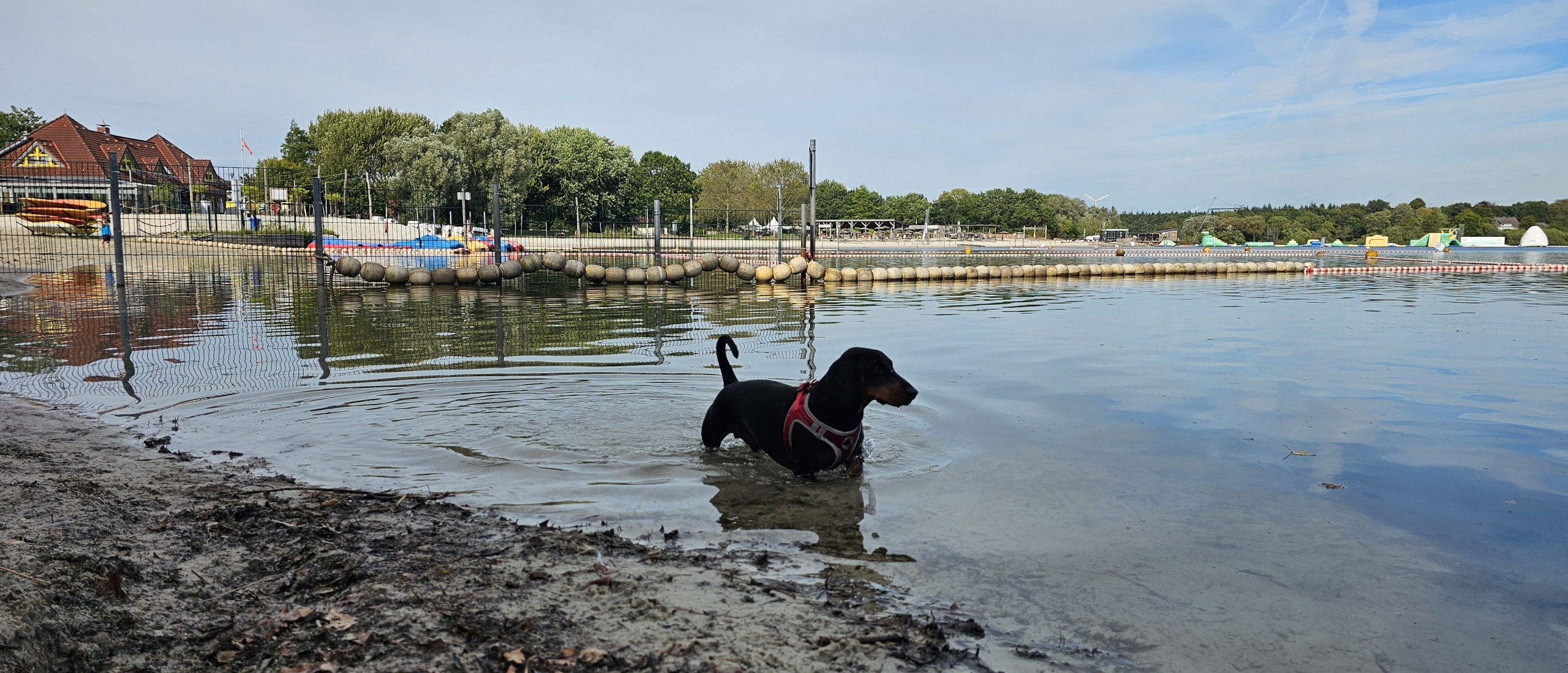 Loslopen op het hondenstrand: Badesee Tannenhausen in Aurich