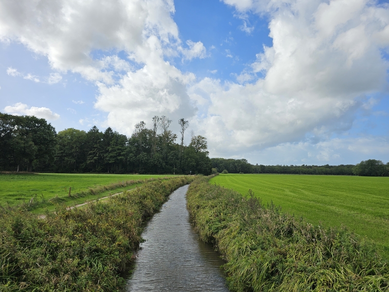 Natuur in Westerstede, Ammerland Natuur in Westerstede, Ammerland
