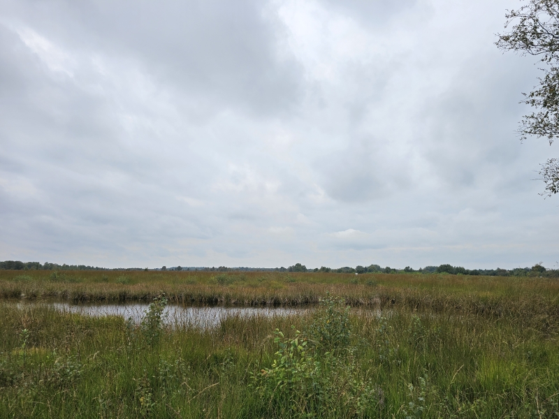 Natuurwandeling met hond naar het Ewiges Meer