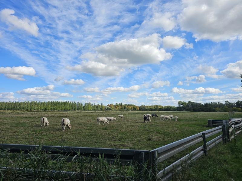 Natuurwandeling Stekene Natuurwandeling Stekene