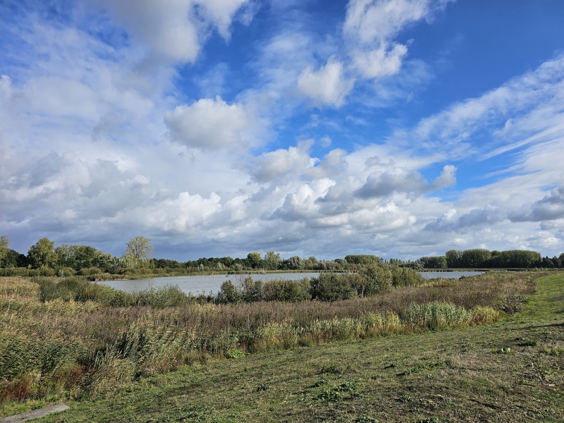 Paardebroek Berlare Paardebroek Berlare