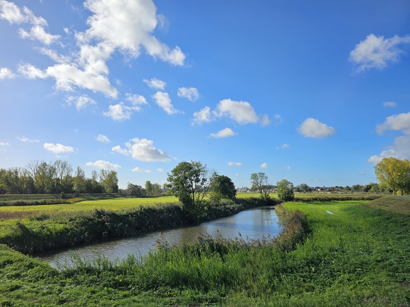Prachtig uitzicht over de natuur in Berlare Prachtig uitzicht over de natuur in Berlare