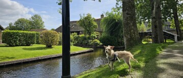 Wandelen in het mooie Giethoorn
