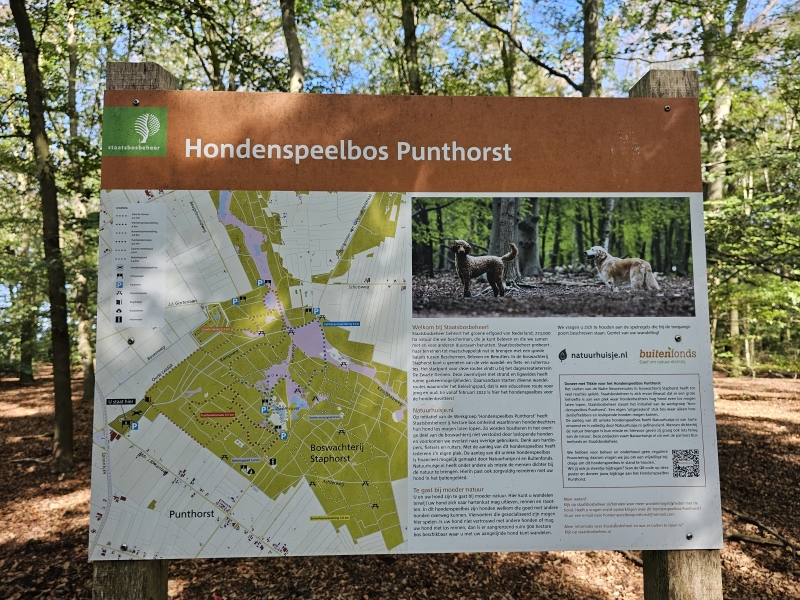 Staphorst Hondenspeelbos Punthorst wandelen met hond los Staphorst Hondenspeelbos Punthorst wandelen met hond los