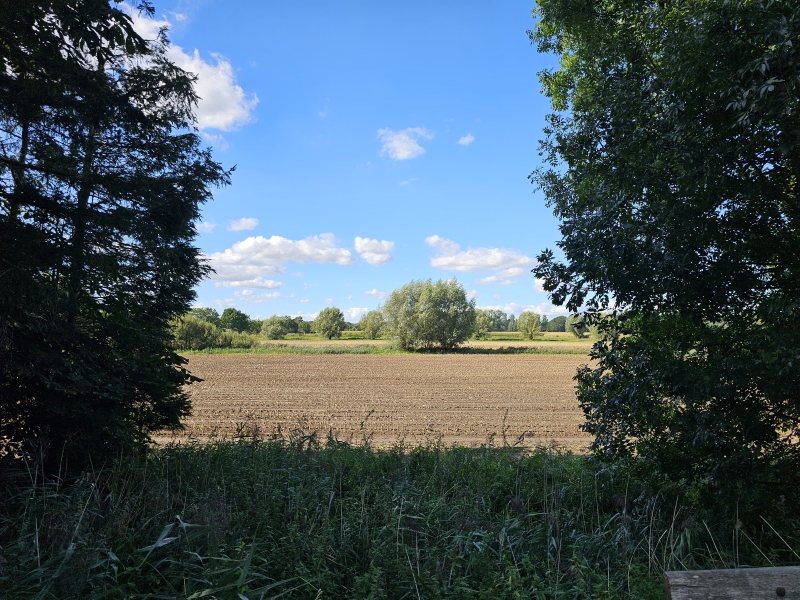 Stekene wandelen door de natuur Stekene wandelen door de natuur