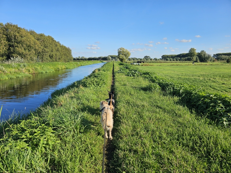 Wandelen langs de Stekense Vaart Wandelen langs de Stekense Vaart