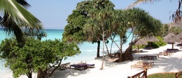 The 12 best things to do on Zanzibar, and one we tell people to skip