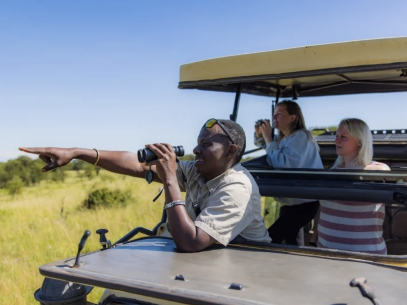 This is what a day on safari in Tanzania feels like