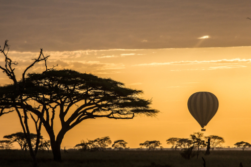 tanzania honeymoon safari