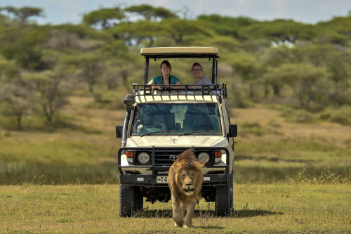 Tanzania Safari Makasa Jeep