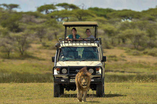 Tanzania Safari Makasa Jeep Tanzania Safari Makasa Jeep
