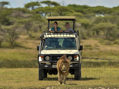 Tanzania Safari Makasa Jeep