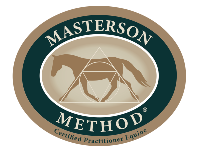 bodywork paardenmassage