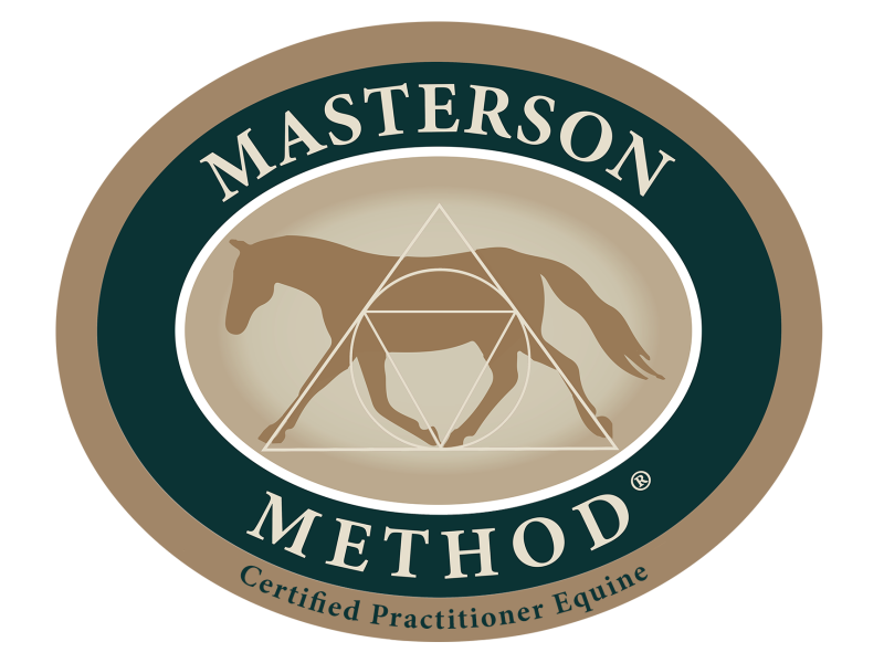 bodywork paardenmassage