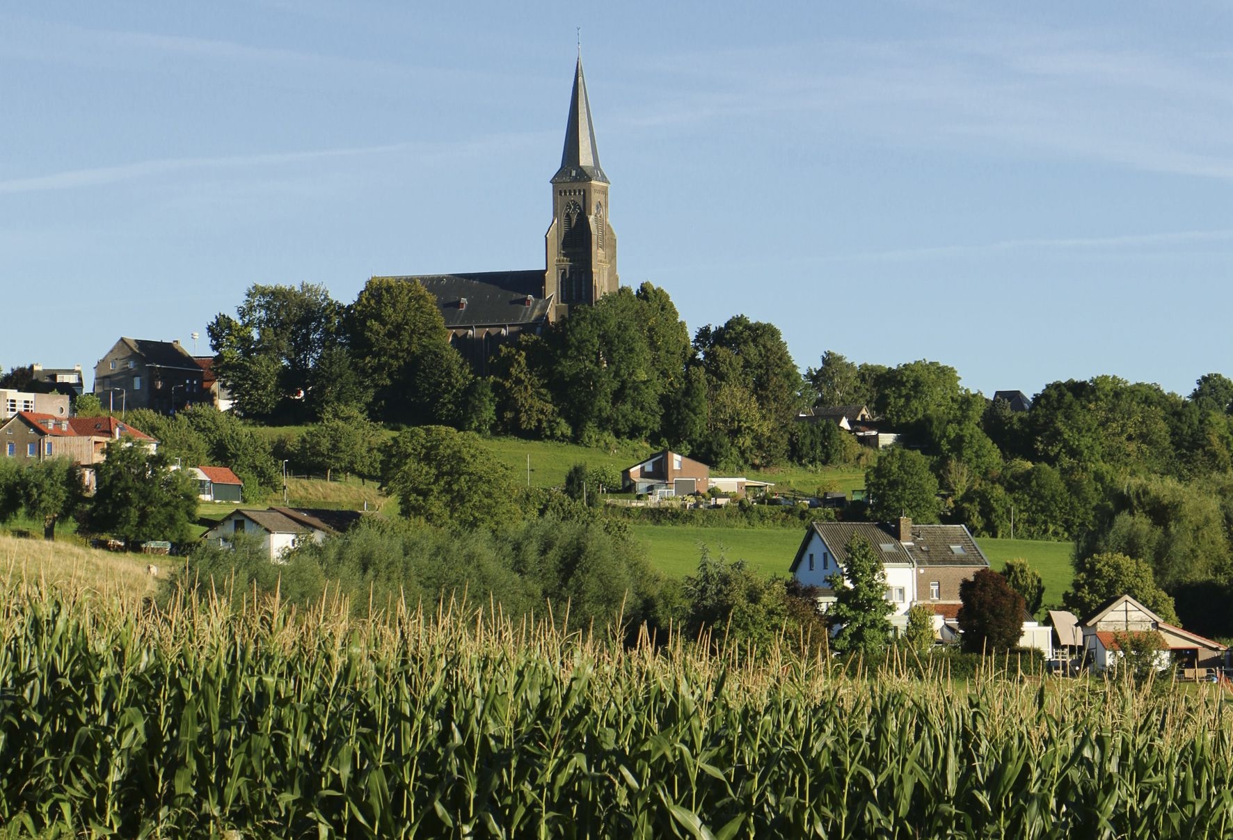 Vijlen met de kerk op de heuvel, boven een maisveld