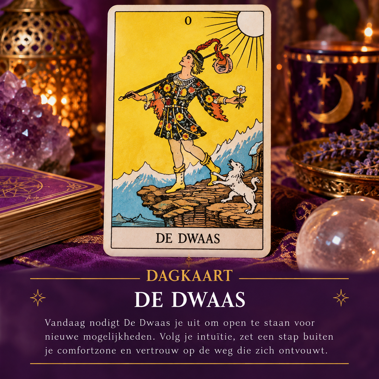 De Dwaas als dagkaart