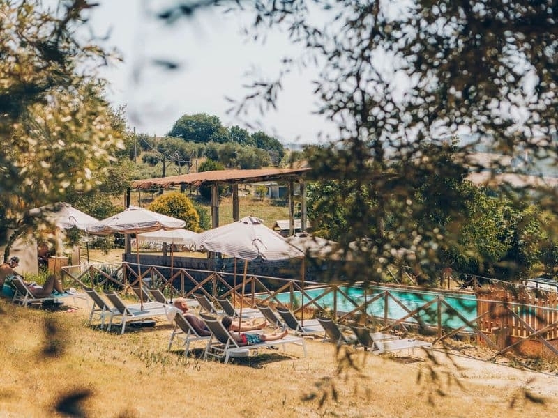 Zwembad met ligbedden en parasols op agriturismo camping Vista Fermo, gezien door de olijfbomen, met een houten overkapping en het heuvelland van Le Marche op de achtergrond