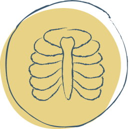 icoon tietze