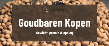 Goudbaren Kopen: Soorten, Gewichten, Premie, Opslag en Risicos