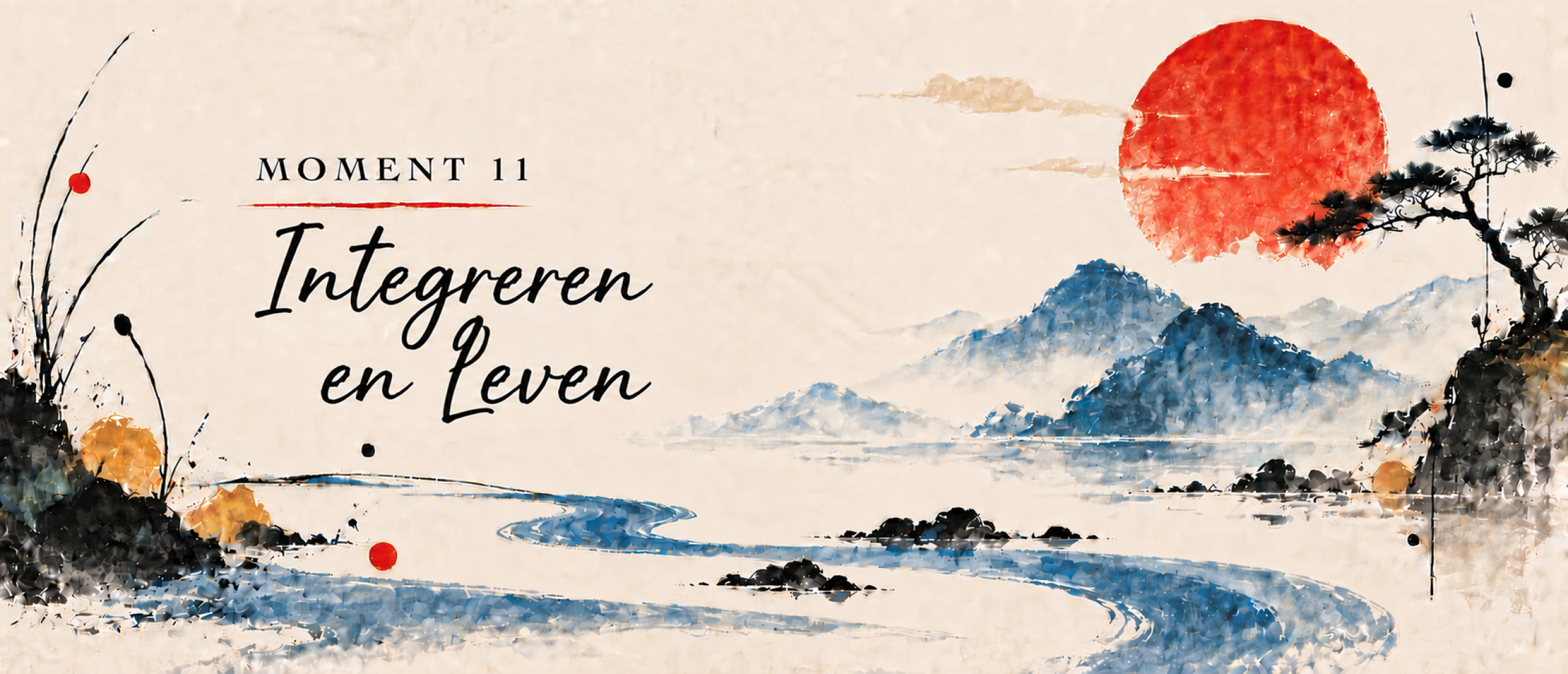 Moment 11 -  Integreren en Leven in training taomind
