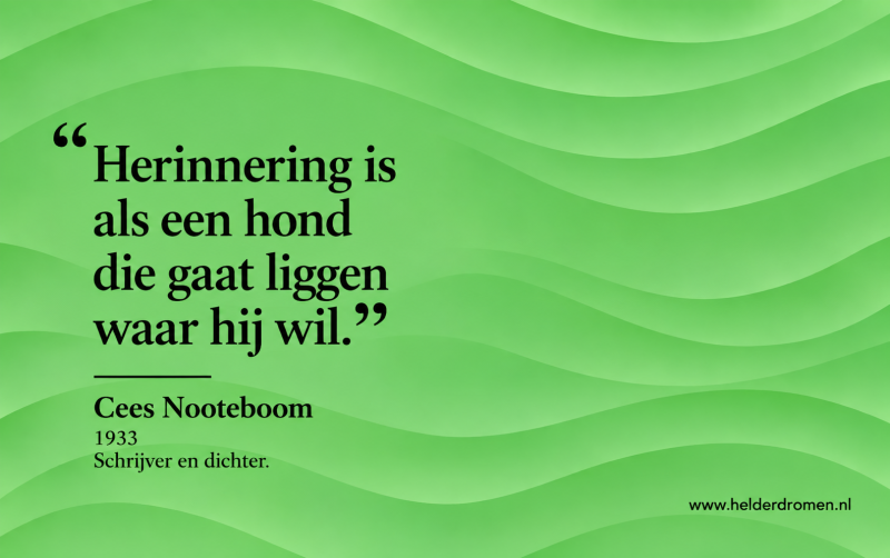 helder dromen wijst je de weg