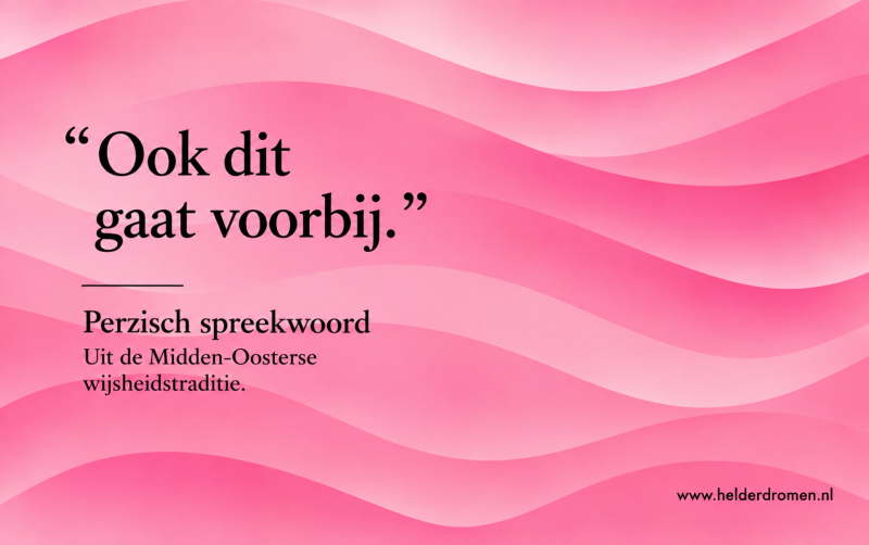 helder dromen wijst je de weg