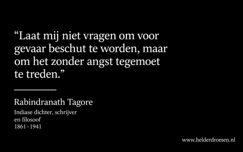 helder dromen wijst je de weg