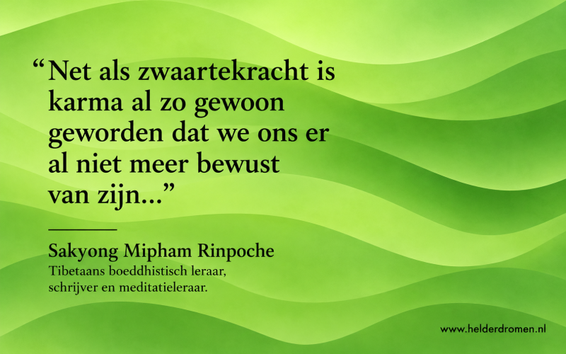 helder dromen wijst je de weg