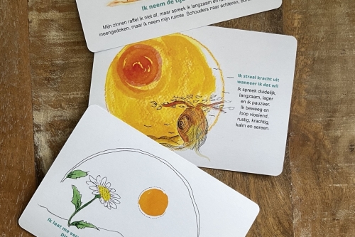 Drie affirmatiekaarten van NLP College met kleurrijke illustraties en inspirerende spreuken, uitgestald op een houten tafel.