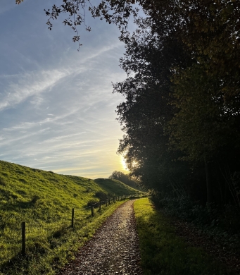 Een rustig wandelpad dat door een groen landschap slingert, met warm zonlicht tussen de bomen.